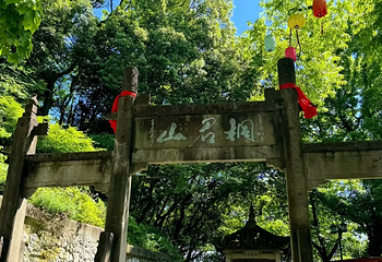 桐君山第 48 张图片