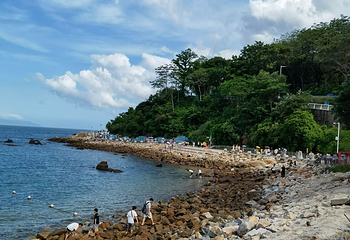 大梅沙海滨公园第 37 张图片