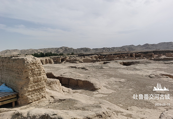 交河故城第 64 张图片