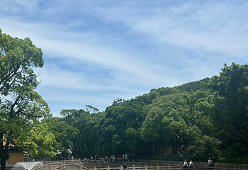 普陀山风景区第 223 张图片