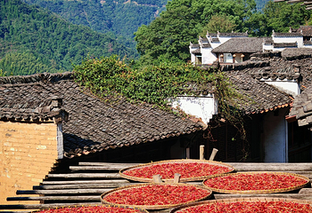 婺源篁岭景区第 119 张图片