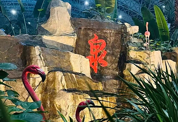 亚布力森林温泉第 15 张图片
