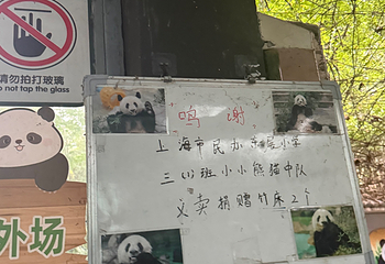 上海动物园第 148 张图片