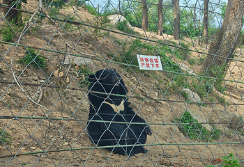 八达岭野生动物世界第 37 张图片