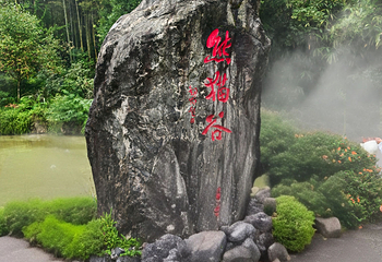 熊猫谷第 111 张图片