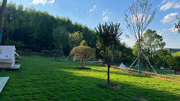 竹海山溪露营地