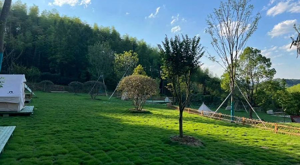 竹海山溪露营地