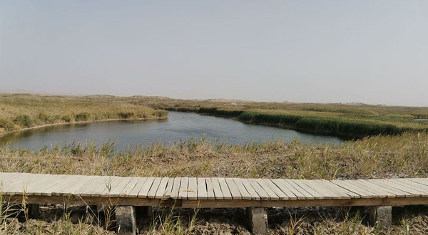 穆孜鲁克湿地公园