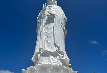 山茶半岛第 20 张图片