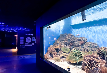 箱根园水族馆第 15 张图片