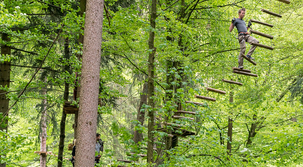 Adventure Park Seilpark Interlaken