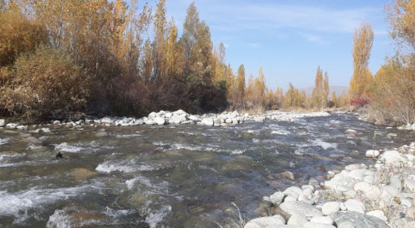 Пейнтбол-клуб 