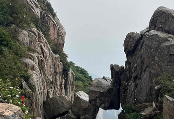 泰山风景区第 309 张图片