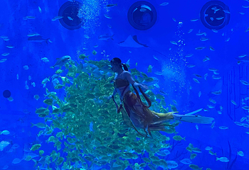 上海海昌海洋公园第 340 张图片