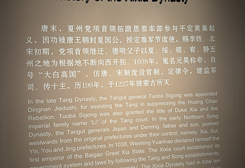 西夏陵第 477 张图片