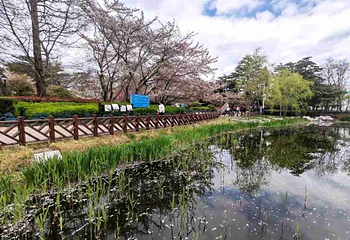 中山公园第 18 张图片