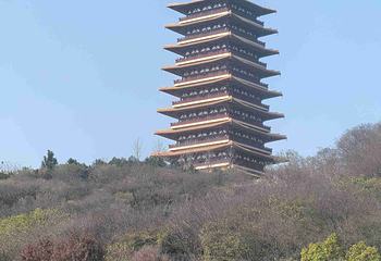 牛首山文化旅游区第 501 张图片