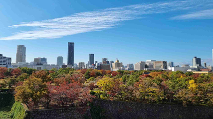大阪城公园第 65 张图片