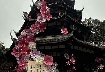 杜甫草堂第 392 张图片