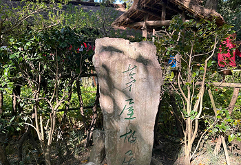杜甫草堂第 358 张图片