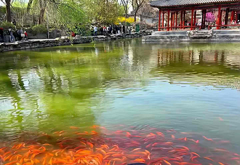 恭王府第 154 张图片