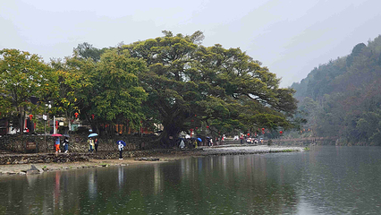 云水谣景区第 104 张图片