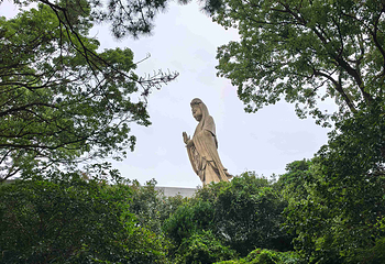 普陀山风景区第 295 张图片