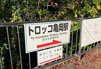 岚山嵯峨野观光小火车第 49 张图片
