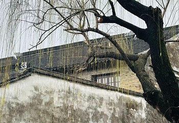平江路历史街区第 266 张图片
