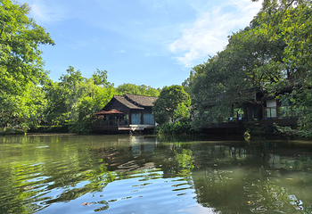 西溪国家湿地公园第 126 张图片
