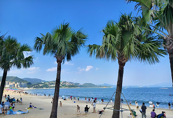 大梅沙海滩第 7 张图片