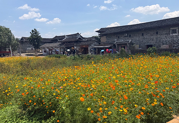 福建土楼(南靖)景区第 49 张图片