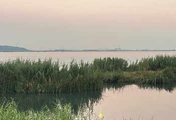 苏州市吴中太湖旅游区第 59 张图片