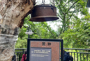 渣滓洞第 42 张图片