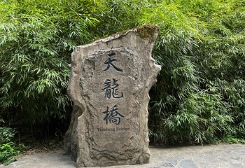 武隆天生三桥第 79 张图片