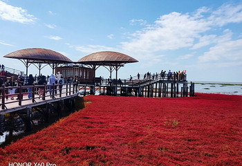 红海滩国家风景廊道第 142 张图片