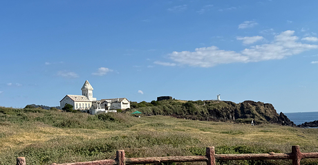 涉地可支第 24 张图片