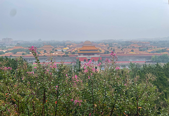 景山公园第 76 张图片