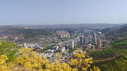 金牛森林公园第 1 张图片