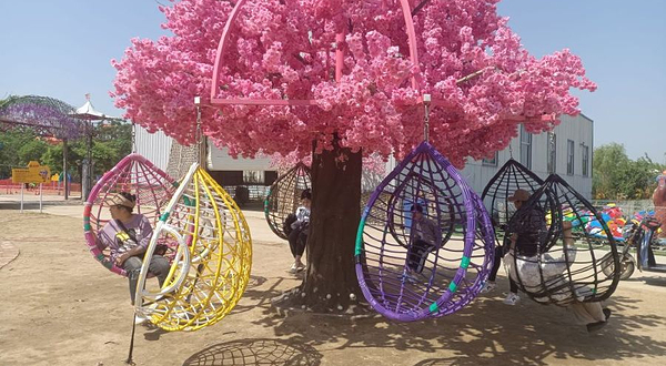 囧小蜂森林乐园(郯城店)