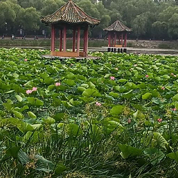 东北湖公园