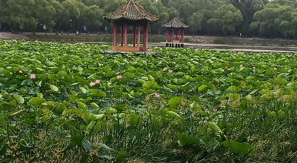 东北湖公园