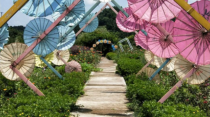 悦缘花谷第 1 张图片