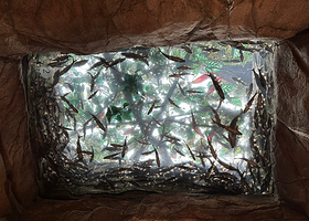 丹佛市区水族馆