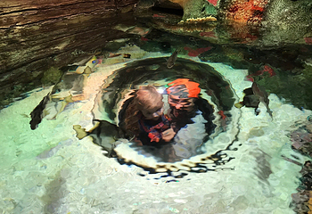 Sea Life Kansas City Aquarium第 13 张图片
