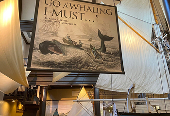 New Bedford Whaling Museum第 8 张图片