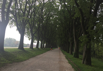 Le Mura di Ferrara第 27 张图片