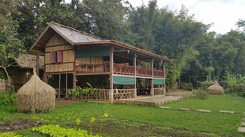 The Bamboo Experience