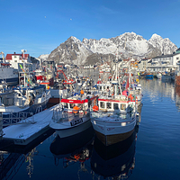 Henningsvær Port Viewpoint