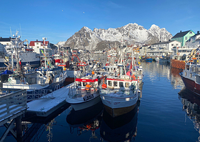 Henningsvær Port Viewpoint